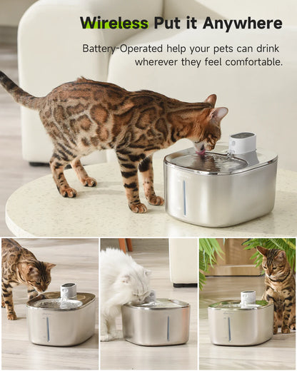 SnoozeGroom: Automatic cat water fountain