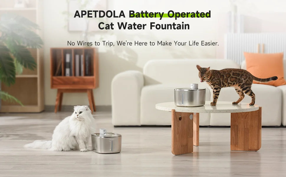 SnoozeGroom: Automatic cat water fountain