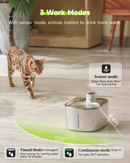 SnoozeGroom: Automatic cat water fountain