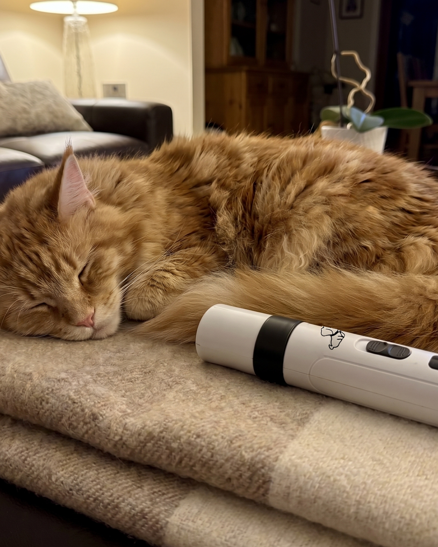 Orange cat sleeping on a couch next to a white electronic device with buttons.